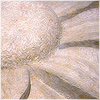 Plants: image 19 0f 20 thumb