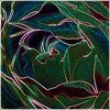 Plants: image 17 0f 20 thumb