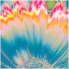 Plants: image 9 0f 20 thumb