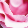 Plants: image 12 0f 20 thumb