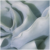 Plants: image 1 0f 20 thumb