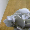 Plants: image 2 0f 20 thumb