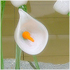 Plants: image 3 0f 20 thumb