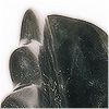 Plants: image 8 0f 20 thumb